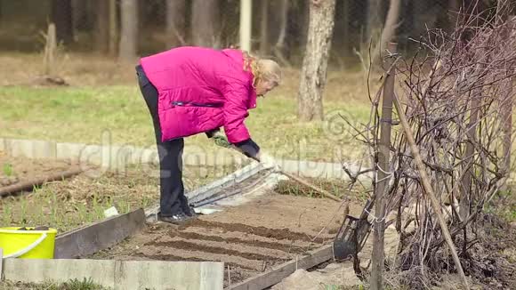 一个女农民用锄头耕地视频的预览图