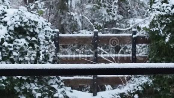 在暴风雪中落下的雪视频的预览图