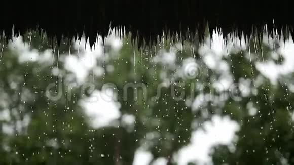 雨下的稻草屋顶视频的预览图