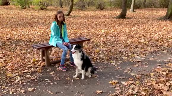公园里有小狗的女孩视频的预览图