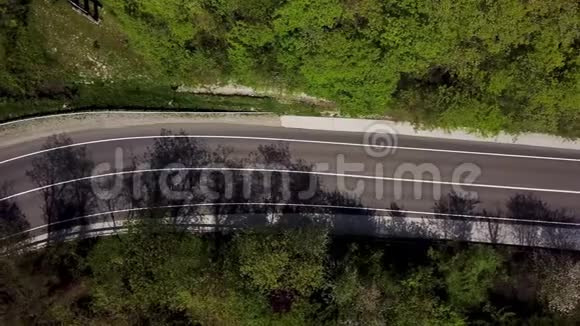 从无人机到松林中公路的鸟瞰图树林里的乡间小路视频的预览图