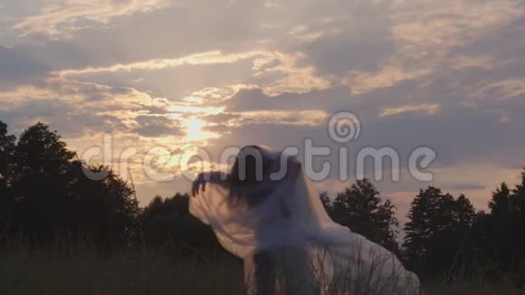 女人裹在夕阳下的草地上跳舞视频的预览图