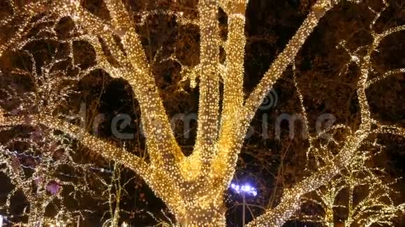 在奥地利维也纳的圣诞市场上巨大的古树上装饰着花环树木花环模糊的景色视频的预览图