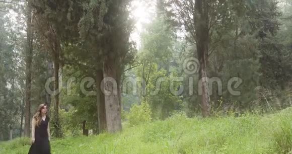 穿着黑色裙子走在绿色森林里的年轻美女视频的预览图