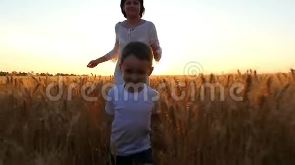 日落时一个快乐的孩子和他的母亲正穿过一片麦田相机运动稳定视频的预览图