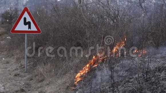 路边的灌木丛在燃烧视频的预览图