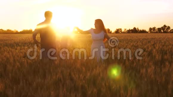 孩子和爸爸妈妈一起走在田野里带着小麦在金色的夕阳下笑着视频的预览图