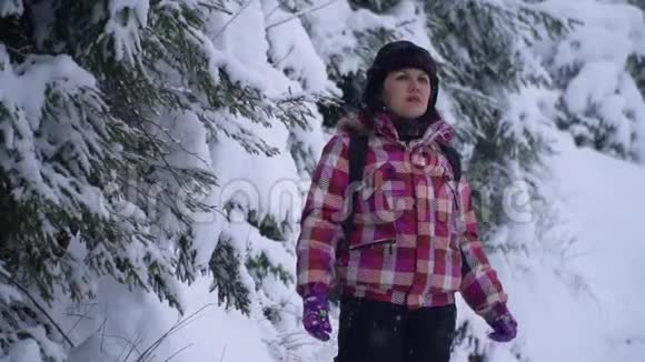 雪林中的年轻女子年轻漂亮的游客独自站在森林里环顾四周她捉到雪花视频的预览图