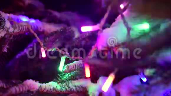 圣诞树在节日LED背光雪地里的圣诞灯视频的预览图