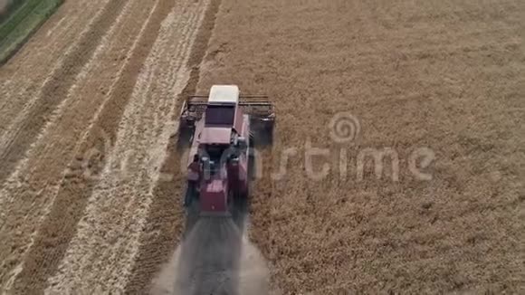 收割机在田间作业联合收割机在田野上采集成熟的金色小麦从上面看小麦视频的预览图