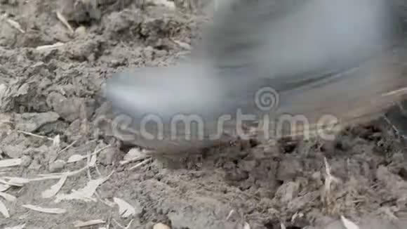 男人在肮脏泥泞的潮湿地面上穿着橡胶靴视频的预览图