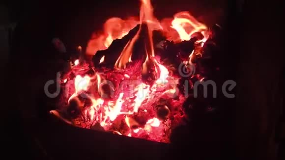 用燃烧的柴火和红色燃烧的火焰视频的预览图