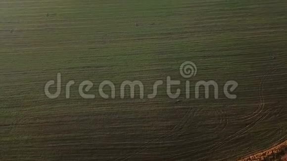 相机沿着一个农业条纹绿田移动录像片段从上面可以看到空中景色视频的预览图