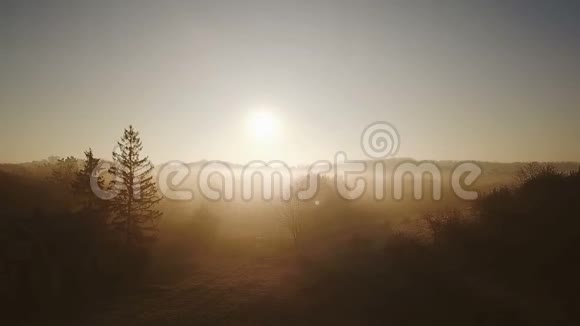 森林边缘的房子大自然静美的日出清晨雾和金光空中录像视频的预览图