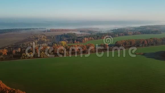 秋天的田野和树木空中录像视频的预览图