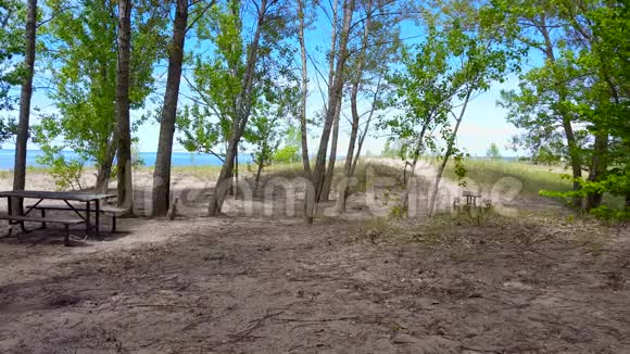 阳光明媚的夏日海滩的遮阳区美丽的阳光沙滩背景是郁郁葱葱的树篷视频的预览图