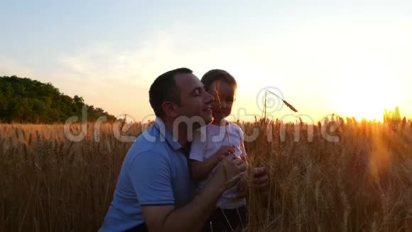 在日落的背景下爸爸和他的儿子在田野上触摸小麦的小穗爸爸和孩子视频的预览图
