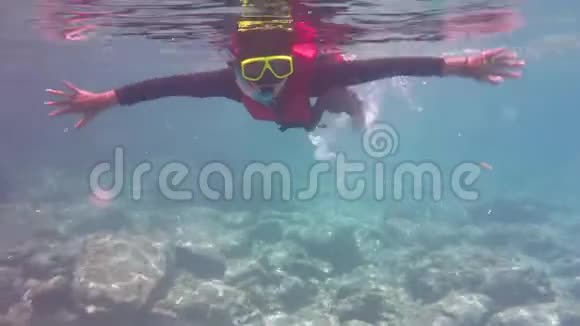 海上浮潜泰国普吉视频的预览图