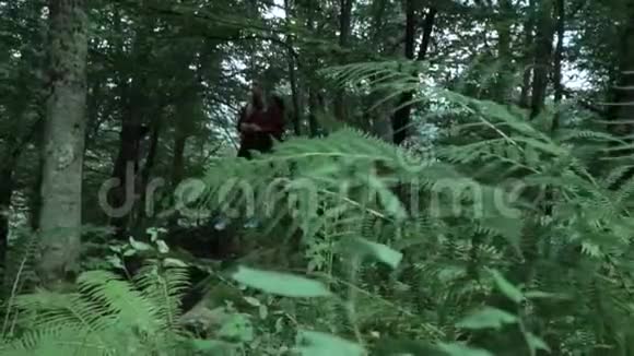 年轻的运动女子穿过蕨类植物的叶子在深绿色的森林里带着徒步旅行袋环顾四周视频的预览图