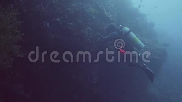 人类潜水者利用水下光线寻找海底珊瑚礁视频的预览图