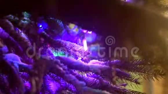 圣诞树在节日LED背光雪地里的圣诞灯视频的预览图