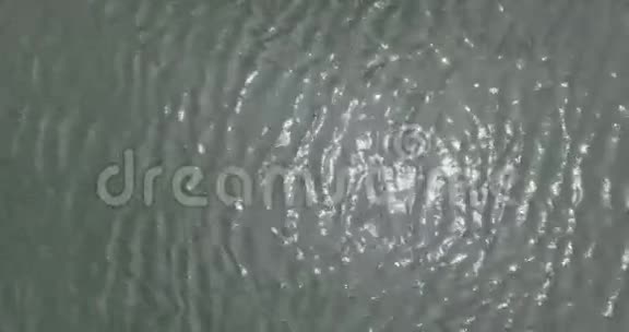 池塘空中景观视频的预览图