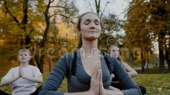 一群在户外练习瑜伽的年轻女性女性在美丽的秋天大自然面前沉思视频的预览图