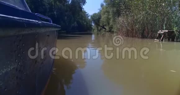 在乌克兰维尔科沃市多瑙河三角洲森林的狭窄运河上漂流的摩托艇视频的预览图