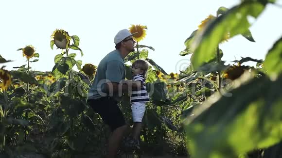 爸爸和儿子在夏天用黄色的向日葵在田野里玩得很开心视频的预览图