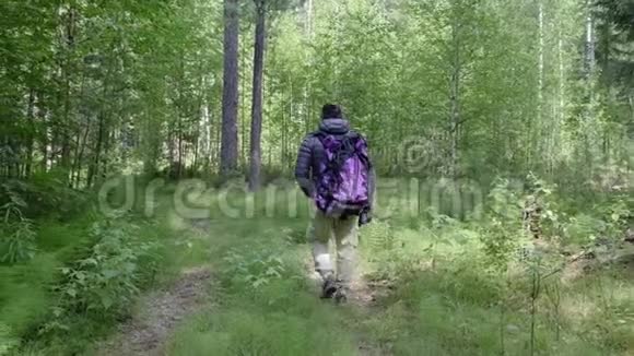 一个男人带着一个大型旅游背包穿越树林生态旅游的概念视频的预览图