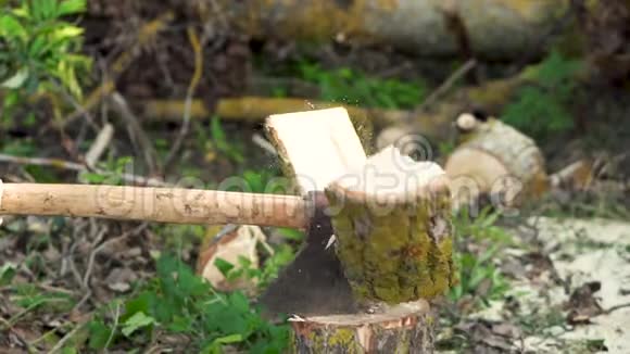 伐木工人用旧斧头劈柴和劈柴动作缓慢视频的预览图