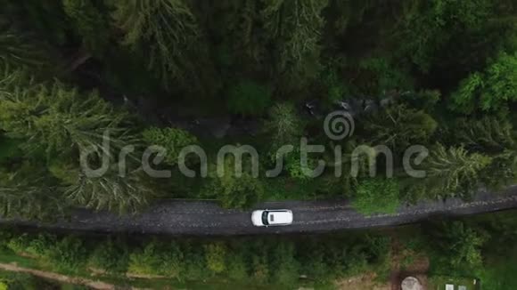 在乡间道路上驾驶汽车穿过森林的鸟瞰图白色越野车驾驶空路视频的预览图