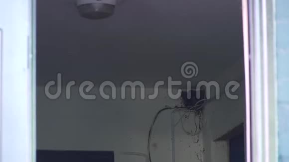 燕子窝在房间的角落里视频的预览图