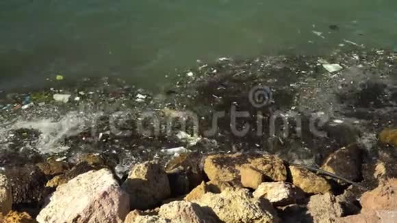 地中海的垃圾环境污染伤害动物丢弃的垃圾使海浪上岸视频的预览图