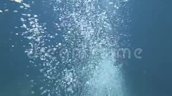 冲绳岛石垣岛附近的水肺潜水员的气泡视频的预览图