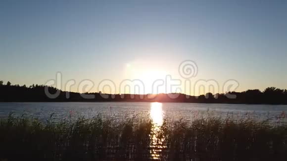 时光流逝美丽的日落森林湖景美丽的夏日背景视频的预览图
