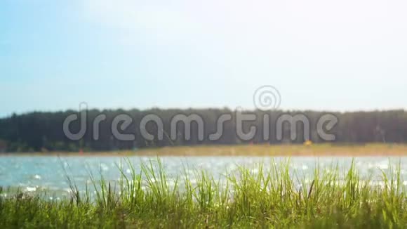 河边的乡村海滩天空风海滩草地视频的预览图