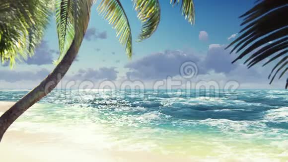 阳光明媚的一天棕榈树和热带植物的枝美丽的夏天循环背景视频的预览图