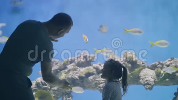 年轻的父亲和小女儿看着热带鱼在海洋馆游泳视频的预览图