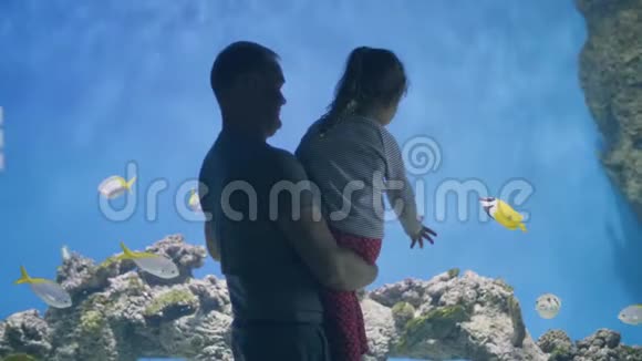 父亲牵着小女儿的手看着鱼在海洋馆游泳视频的预览图