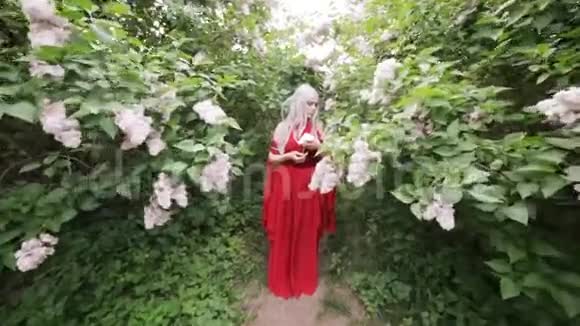 穿红色裙子的精灵女孩站在春天的花园里视频的预览图