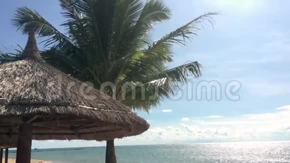 带棕榈树和躺椅的海滨热带假日视频的预览图