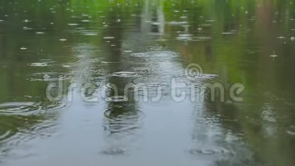 从低角度跌落在自然池塘水面的细雨水滴视频的预览图