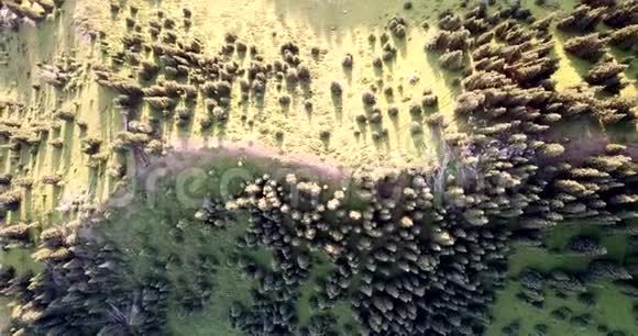 山径在青山丘陵和草地之间在清新的空气中行走绿色的田野视频的预览图