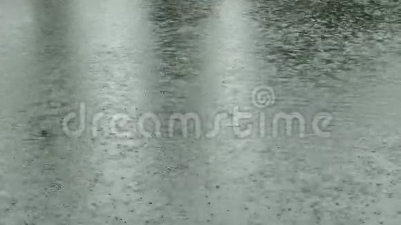 大自然池塘水面大雨视频的预览图