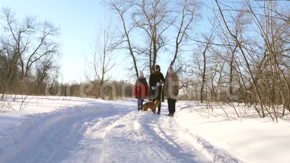 妈妈和她的女儿和狗在圣诞节假期在冬季公园散步家人与心爱的狗一起散步视频的预览图