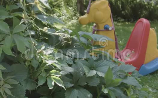 花园里的玩具马视频的预览图