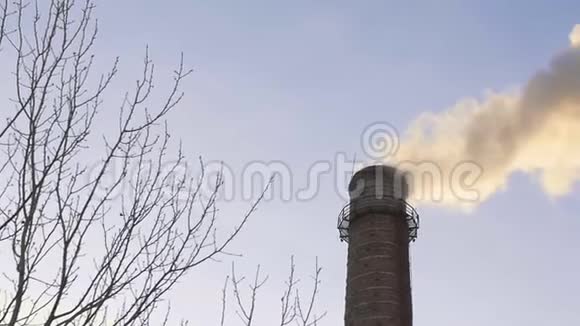 工业概念制造管道产生的烟雾大气污染视频的预览图