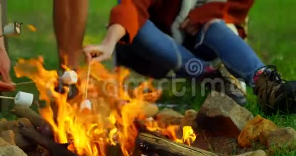 朋友们在篝火上烤棉花糖视频的预览图