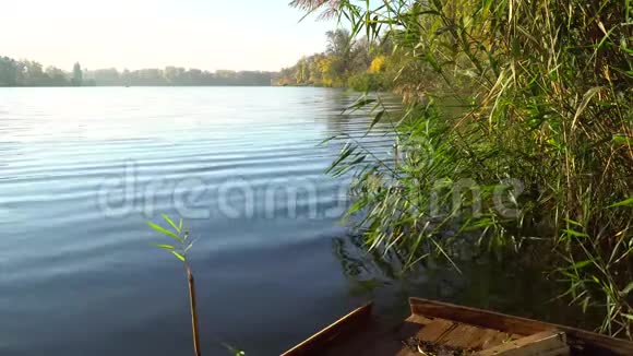 河岸上的日出右侧木墩和河面有芦苇的景观视频的预览图
